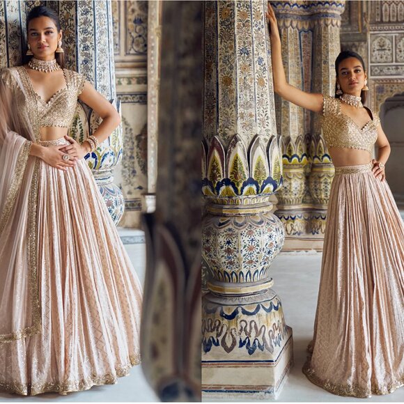 [NEW] Lashkaraa Nude and Gold Embroidered Lehenga XS - Picture 3 of 9